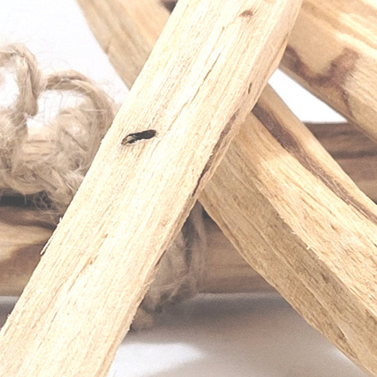 Palo Santo